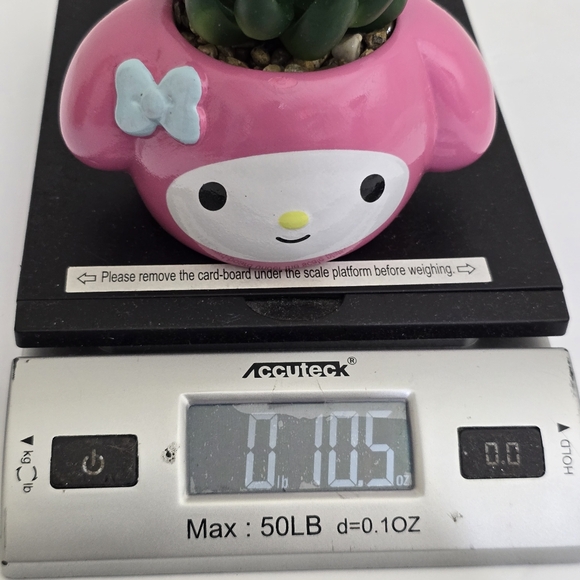 Sanrio My Melody 3-Inch Ceramic Mini Planter With Artificial Succulent Decor - Picture 11 of 11